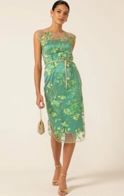 GLISTENING TANAGER DRESS