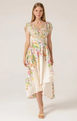 BIRD OF PARADISE DRESS