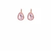 PARIS EARRINGS IN PINK 2 PARIS EARRINGS IN PINK -Clothing Discounts Shop paris earring in pink accessories earrings 43832899043577